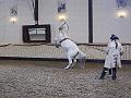 T-20130914-163054_P1110862-G Kopie